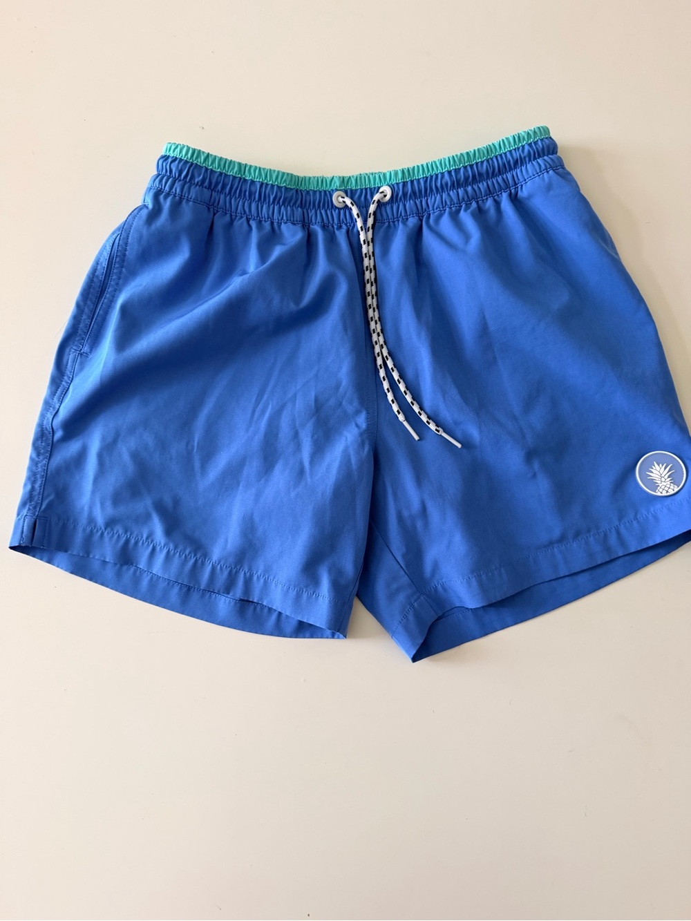 chubbies  Blue Swim Trunks